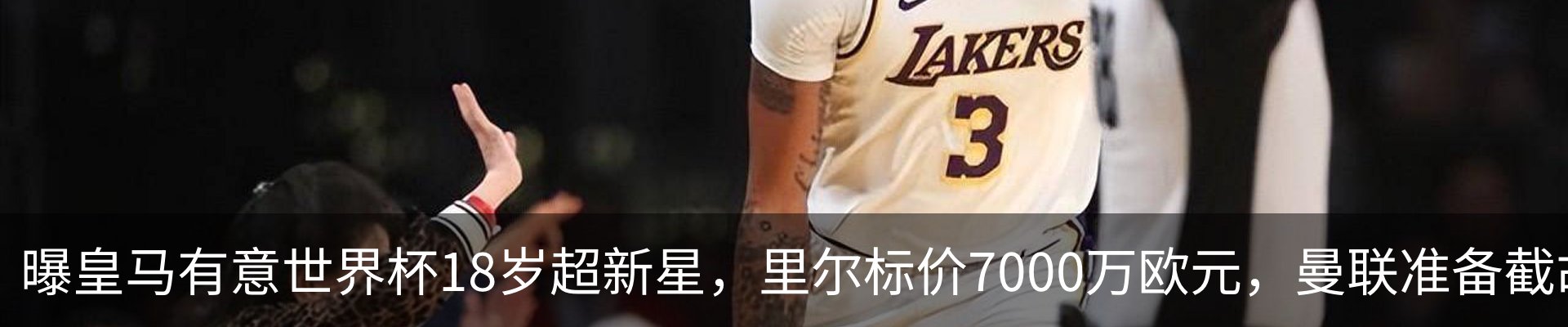 新闻动态