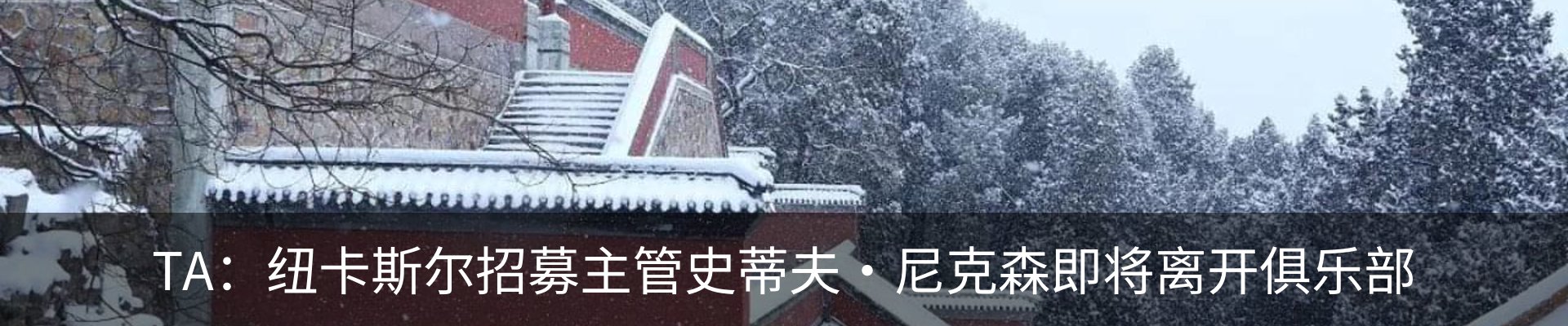 新闻动态
